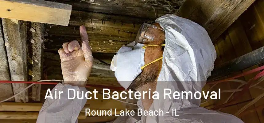  Air Duct Bacteria Removal Round Lake Beach - IL