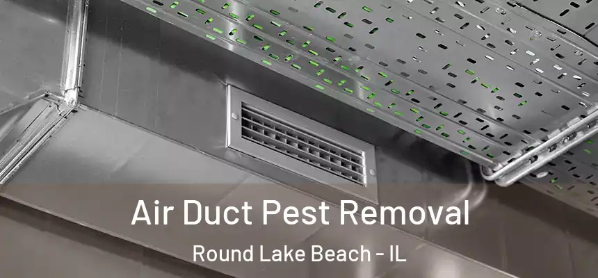  Air Duct Pest Removal Round Lake Beach - IL