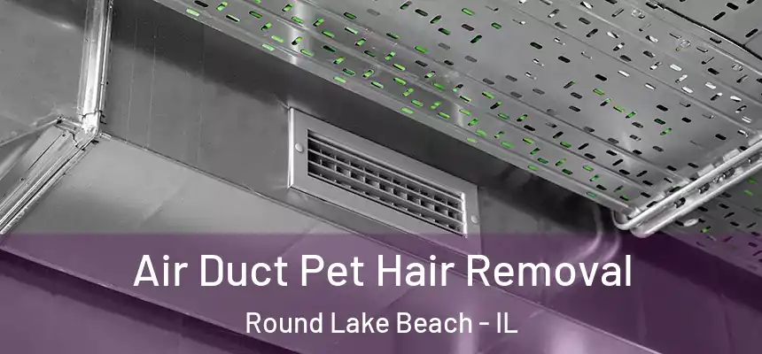Air Duct Pet Hair Removal Round Lake Beach - IL