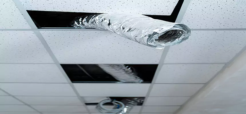 Our Air Duct Pet Hair Removal Services in Round Lake Beach, IL