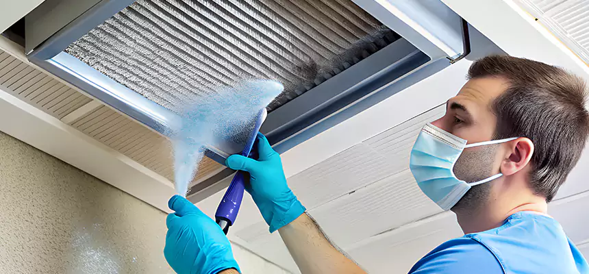 Proactive Dryer Vent & Auxiliary Duct Pollen Cleanup in Round Lake Beach, IL