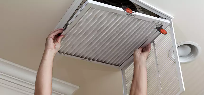 Our Insect Removal from Air Ducts Services in Round Lake Beach, IL