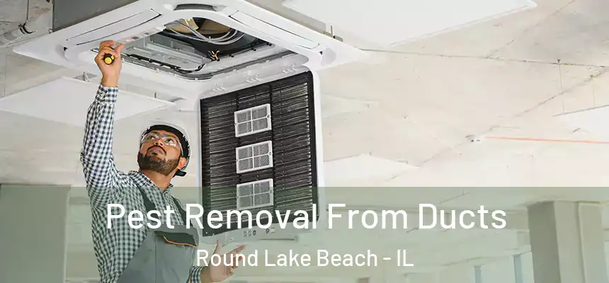  Pest Removal From Ducts Round Lake Beach - IL