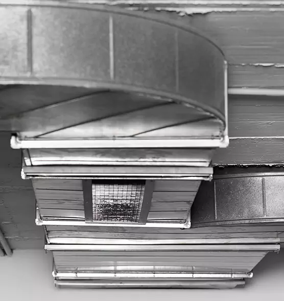 Professional Air Duct Pet Hair Removal in Round Lake Beach, IL