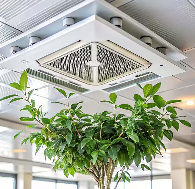 Why Homeowners & Businesses Trust Us in Round Lake Beach, IL?