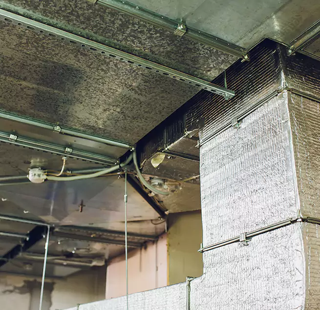 Why Homeowners & Businesses Trust Us in Round Lake Beach, IL?